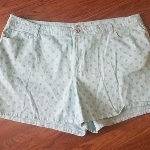 CATO Light Blue Polka Dot Shorts 2X 24 24W